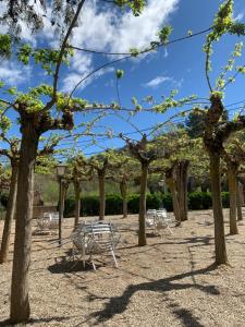 a row of trees with chairs and tables in a park at L'Espluga de Francolí Xanascat in Espluga de Francolí
