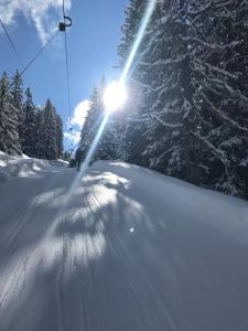 Alpendomizil Pia v zime