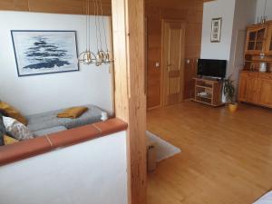 a living room with a couch and a television at Bergführerhaus in Ramsau am Dachstein