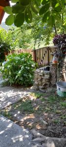ogród z drewnianym płotem i roślinami w obiekcie Vikendica na Jazu w mieście Kosjeric