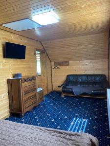 a bedroom with a couch and a tv in a room at Tomashchuk resort in Vorokhta