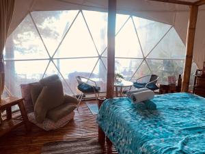 a room with a bed and a large window at Glamping Dome Dauin Beach Resort in Dauin