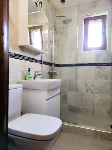 y baño con aseo, lavabo y ducha. en Терасите - Къща 1, en Ribaritsa