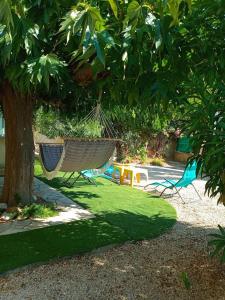 two hammocks hanging from a tree in a yard at Chez Anne in La Ciotat