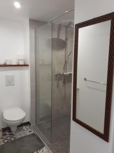 a bathroom with a toilet and a mirror at Gite PASSIFLORE in Cour-Cheverny +16 photos