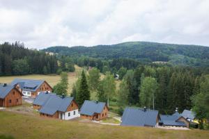 an aerial view of a village in the mountains at Apartmán Devítka Resort pod Špičákem in Smržovka