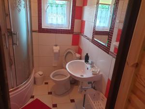 La petite salle de bains est pourvue de toilettes et d'un lavabo. dans l'établissement Domek w Bieszczadach u Ani Apartament 3, à Uherce Mineralne