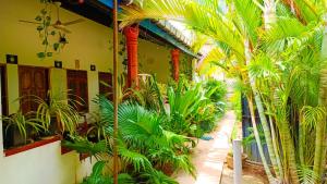 a courtyard with palm trees in a building at Pranu House in Nilaveli
