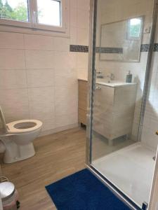 a bathroom with a shower and a toilet and a sink at Petite maison en Auvergne in Giat