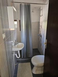 a small bathroom with a toilet and a sink at Villa Rose Ann in Rogoznica +75 photos