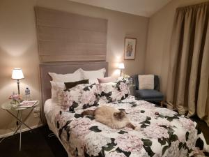 Posteľ alebo postele v izbe v ubytovaní Haven Sanctuary Suite with Private Entrance
