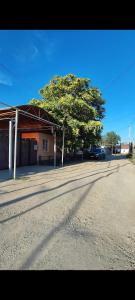 an empty street in front of a building with a tree at Уют in Zharkent