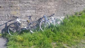 due biciclette parcheggiate l'una accanto all'altra nell'erba di B&B Il Pergolo a Carro