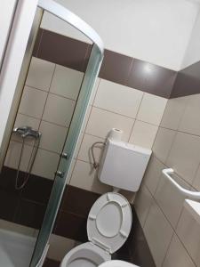 a small bathroom with a toilet and a shower at Krapce - Lake View Apartments in Star Dojran
