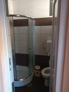 a small bathroom with a shower and a toilet at Krapce - Lake View Apartments in Star Dojran