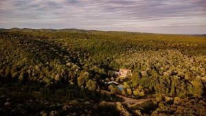 an aerial view of a house in the middle of a forest at Hotel McPietroasa in Haleş