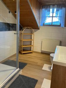 a bathroom with a ladder next to a toilet at Ferienwohnung Auersbergsreut in Haidmühle