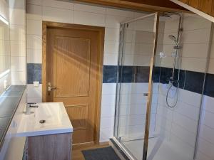 a bathroom with a shower and a sink at Ferienwohnung Auersbergsreut in Haidmühle