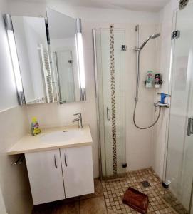a bathroom with a shower and a sink and a mirror at Meer Glück am Steinhuder Meer in Wunstorf