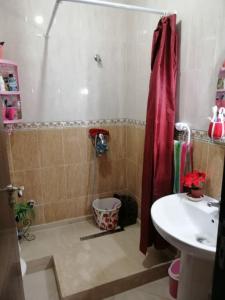 タンジェにあるDar Salam Appartement moderne et propreのバスルーム(シャワー、シンク付)