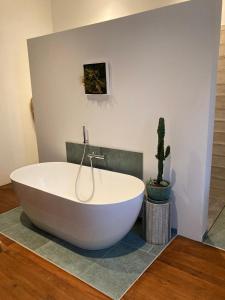 Un Petit Château في Lauzun: حوض استحمام أبيض في حمام به صبار