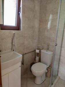 a bathroom with a toilet and a sink and a shower at Терасите - Къща 3 in Ribarica +9 photos