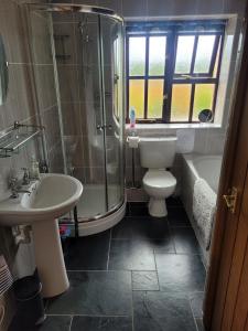 a bathroom with a shower and a toilet and a sink at Long Linhay in Woolacombe +33 photos