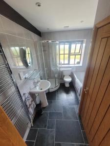 a bathroom with a sink and a toilet and a mirror at Long Linhay in Woolacombe