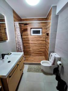 y baño con aseo, lavabo y ducha. en River side apartment with terrace, en Floreşti