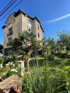 a tall building with a palm tree in front of it at Marfil Studios in Ohrid