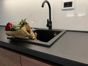 Kuchyň nebo kuchyňský kout v ubytování Apartman Lux harmonija + 10 fotografií