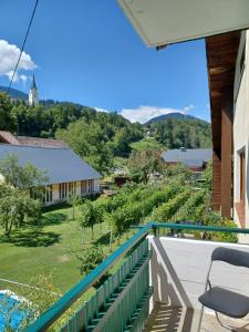 Příroda nedaleko apartmánu