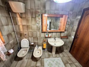 a bathroom with a sink and a toilet and a mirror at Sa Domu de Cri in Giba