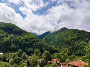 ein Dorf vor einem Berg mit Bäumen in der Unterkunft Терасите - Къща 4 in Ribarica