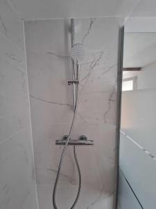 eine Dusche mit Duschkopf im Bad in der Unterkunft Appartement avec terrasse in La Talaudière
