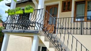 two potted plants on a balcony of a house at Apartman Bubamara in Arilje