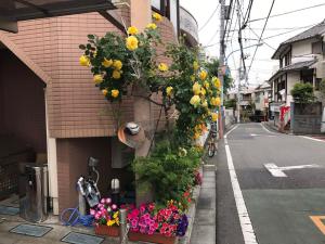 新宿の家-畳み3人部屋 في طوكيو: حفنة من الزهور على جانب المبنى