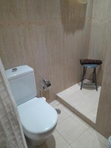 y baño con aseo y ducha con taburete. en Apartamento Torre Uno Santa Cruz, en Santa Cruz de Tenerife