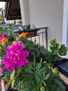 Foto dalla galleria di Casa Gina a Roana