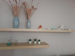 four blue vases on shelves with plants in them at Airport Family House in Artemida