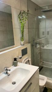 a bathroom with a sink and a toilet and a mirror at The Signature Apartments, Accra Ghana in Accra