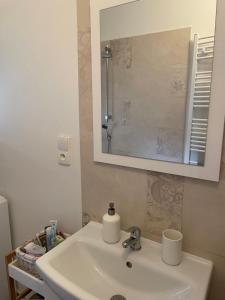 uma casa de banho com um lavatório branco e um espelho. em Rodinný apartmán Mariánská em Varnsdorf
