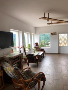 a living room with chairs and a flat screen tv at Cabana Refugiu Montan in Băişoara