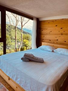 Bett in einem Zimmer mit einem großen Fenster in der Unterkunft Greenlife Dağevleri in Rize