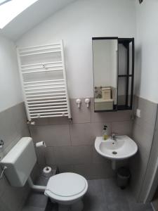 a bathroom with a toilet and a sink and a mirror at Studio Apartment Lenchy in Zagreb