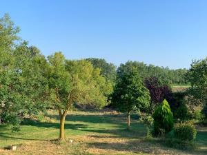 Příroda nedaleko bed and breakfast
