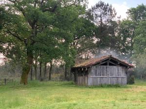 Ảnh trong thư viện ảnh của L airial du gemmeur ở Sabres