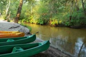 Ảnh trong thư viện ảnh của L airial du gemmeur ở Sabres +37 ảnh