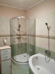 Koupelna v ubytování GingerBED Apartman + 10 fotografií