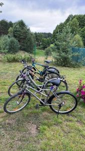 Jízda na kole v ubytování Apartament „Pod Zielonym Dachem” nebo okolí + 19 fotografií